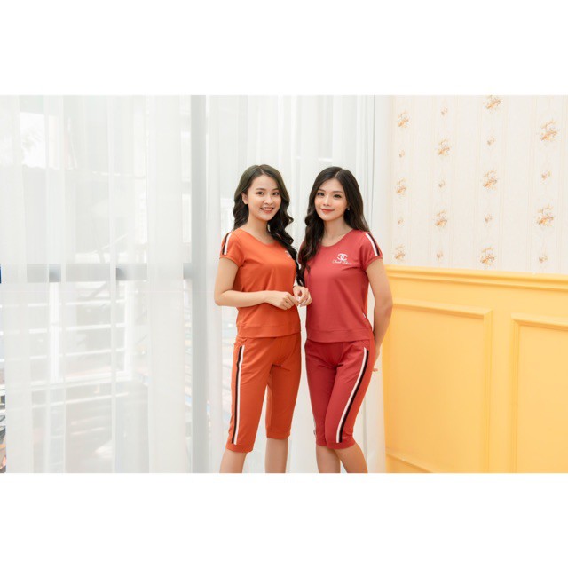 Bộ Đồ Nữ Đồ Mặc Nhà🔥FREE SHIP🔥Bộ Đồ Mặc Nhà Chất Liệu Cotton Cao Cấp Mang Lại Cảm Giác Thoải Mãi - CODE 16 | BigBuy360 - bigbuy360.vn