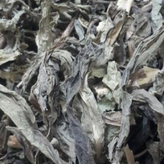 1kg cây bồ công anh khô