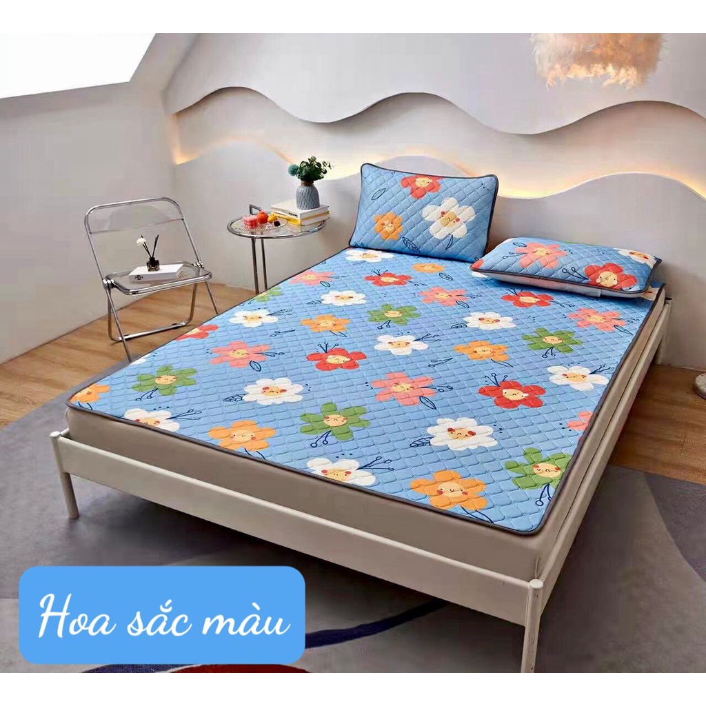Chiếu điều hòa cao su non ,tặng kèm 2 vỏ gối cùng loại, kích thước 1m6/1m8/2m2
