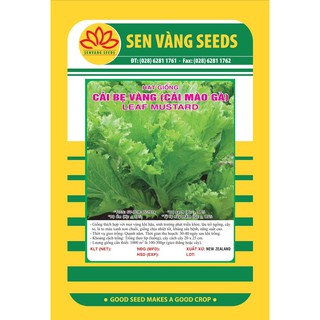 Gói 20Gr Hạt giống Rau Cải Mào gà (Cải bẹ vàng) chịu nhiệt dễ trồng nhanh thu hoạch
