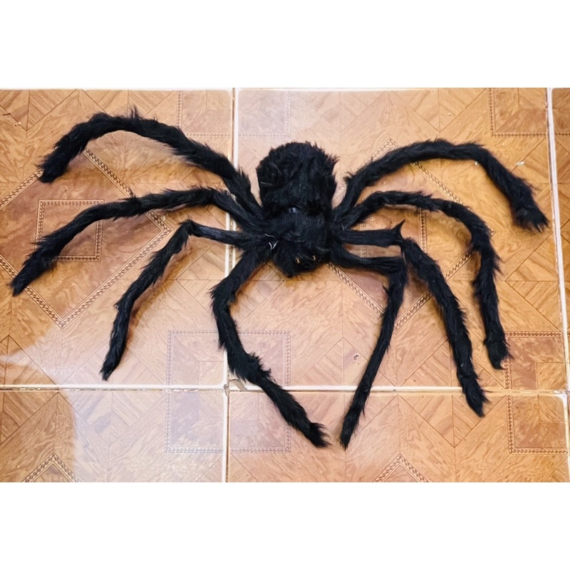 Nhện trang trí HALOWEEN