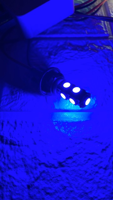 Đèn led xi nhan 2 tầng