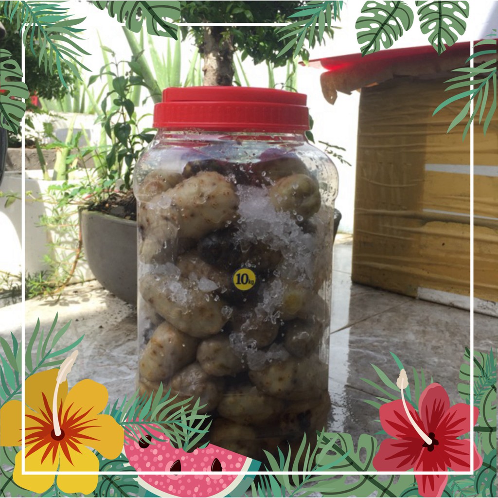 Bình nhàu 5kg