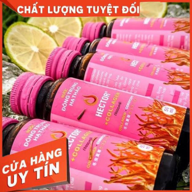 Hector collagen nước đông trùng hạ thảo