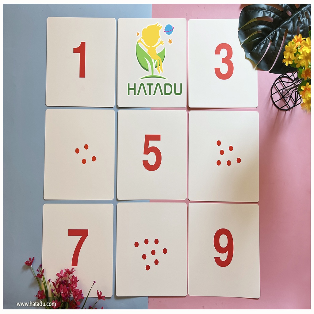 Combo Bé Thông Minh - Thẻ Fashcard