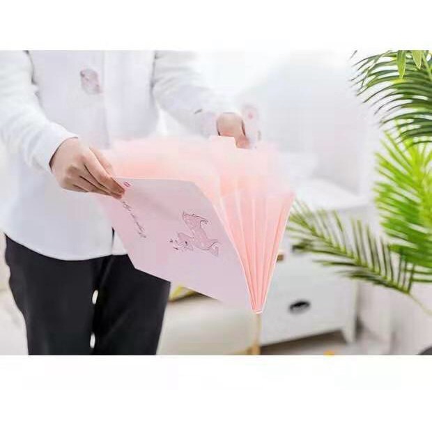 (Sỉ Lẻ Giá Rẻ) B22 Cặp đựng tài liệu nhiều ngăn thích hợp lưu trữ các giấy tờ quan trọng nhiều màu