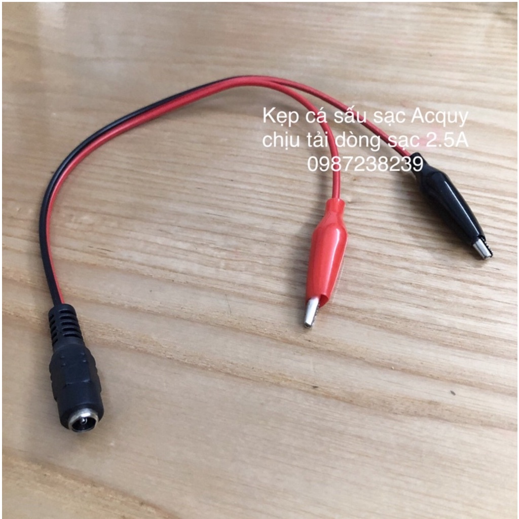 Sạc acquy 6V