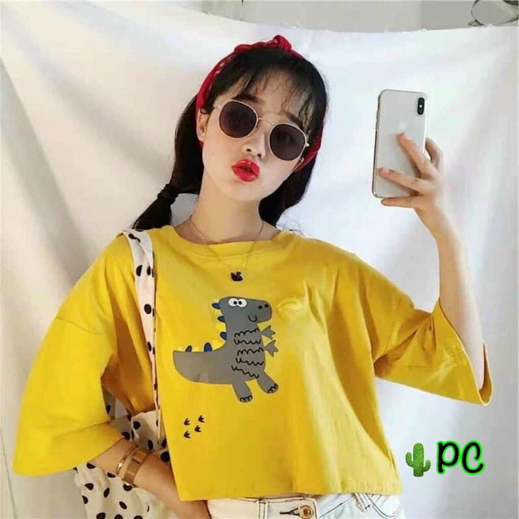 Áo Croprtop Form Rộng In Hình Khủng Long