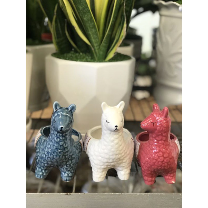 Chậu sứ mini hình chú nay