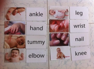 Flashcard tiếng Anh cho bé