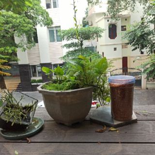 Muối Tôm Đặc Biệt