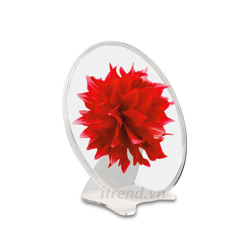 Quạt đèn led tạo hình 3D Hologram để bàn AD30 đỉnh cao của quảng cáo | Hiển thị hình ảnh 3D độc đáo