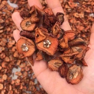 1kg Táo mèo khô Yên Bái - Hàng loại 1 Thơm, Sạch, Phơi Thái tự nhiên