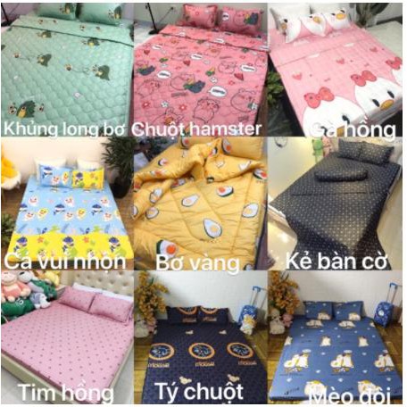 [bộ chăn ga gối]Bộ chăn hè ga gối 4 món,vải cotton poly,chát chọn mẫu,sẳn kho hcm,bơ xanh