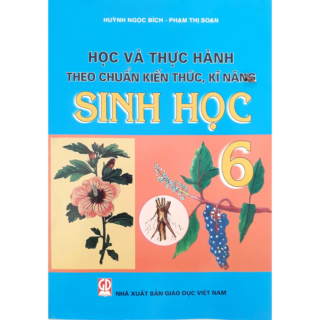 Sách - Học và thực hành theo chuẩn kiến thức, kĩ năng Sinh học 6