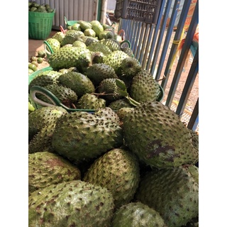 [500gr] TRÀ MẴNG CẦU XIÊM