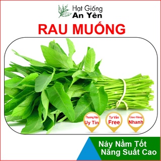Hạt giống Rau Muống hoạch sớm, dễ trồng, nảy mầm cao