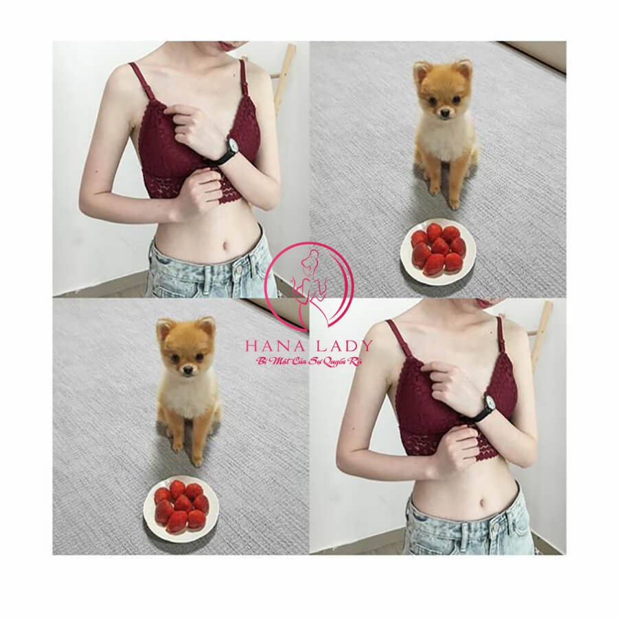Bralettle ren sexy, Áo lót bra không gọng thể thao thời trang quyến rũ BL024