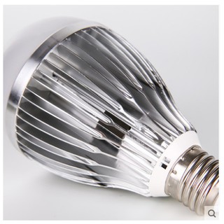 Bộ Đèn Studio TIANZUI + ĐÈN LED