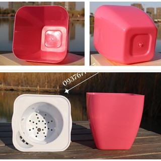chậu trồng thông minh 2 lớp