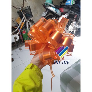 🎀 Nơ Rút bông lớn bản 5,3 cm Trang Trí giỏ quà, quà tặng - Gói Quà Tết, giỏ quà tết,Gấu Bông, Hộp Quà - VPP Trí Tuệ 🎀