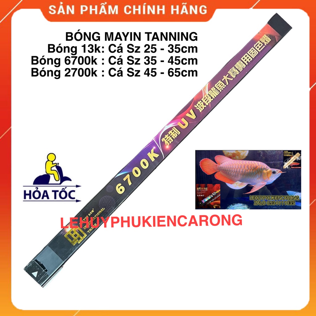 Đèn Bể Cá Chuyên Dụng Tanning Cho Cá Rồng Huyết Long Và Bối Vàng Bóng T5 13000k, 6700k, 2700k Thương Hiệu MAYIN