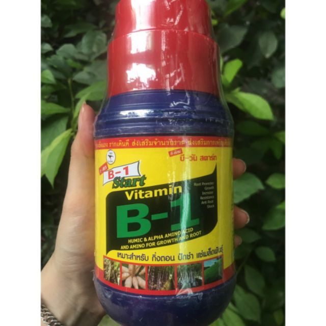 Thuốc kích rễ vitamin B1 star-thái lan 500ml