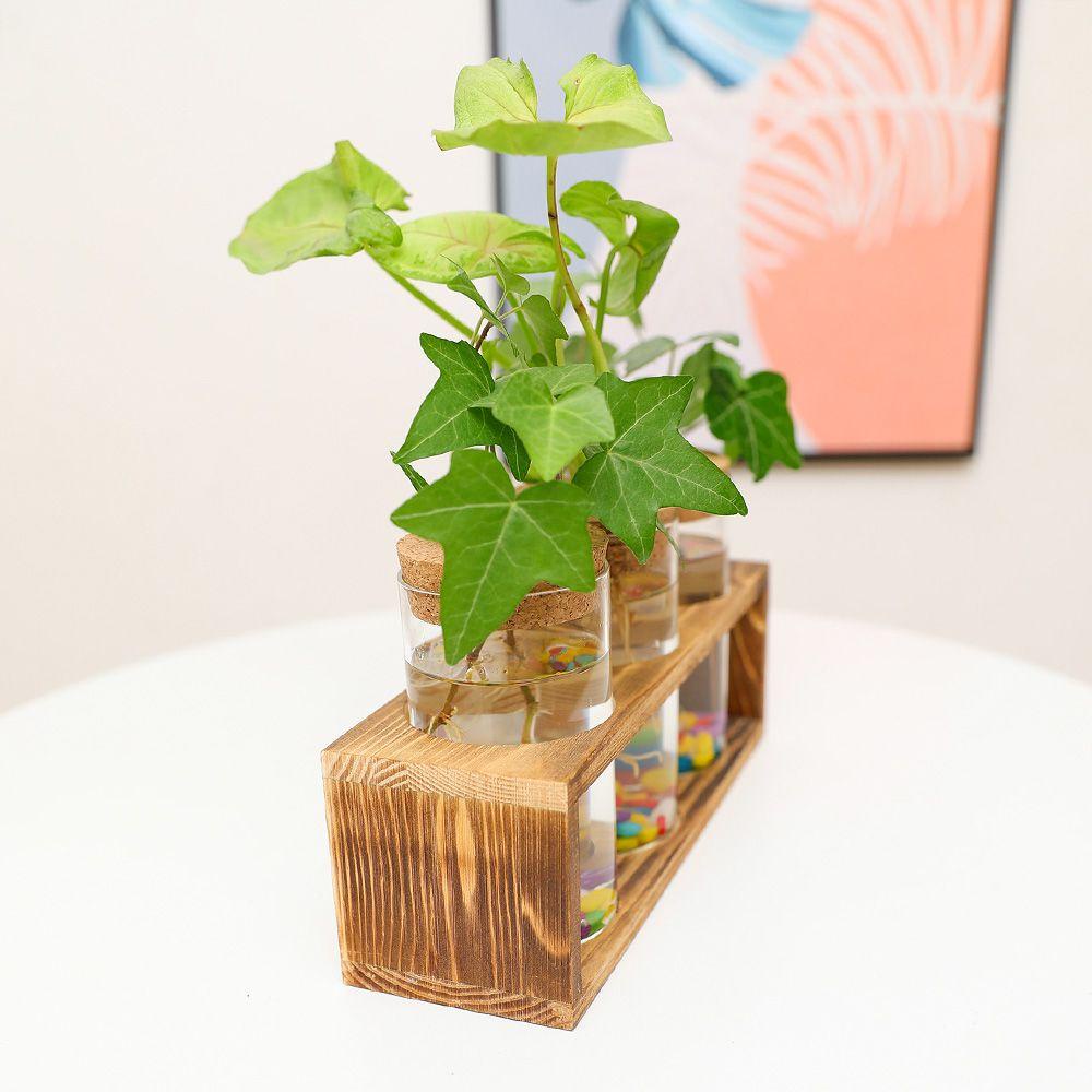WATTLE Chậu Hoa Thủy Canh Để Bàn Trang Trí Nhà Cửa Phong Cách Hiện Đại