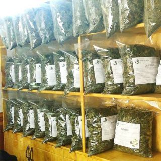Lá chè vằng loại 1 lá chè vằng bà điểm