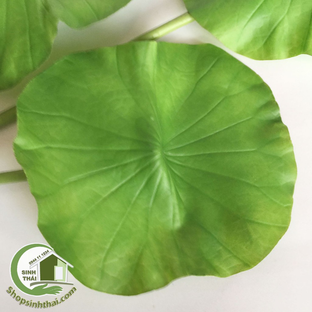 Lá sen giả - cành lá sen cao cấp - 1 lá