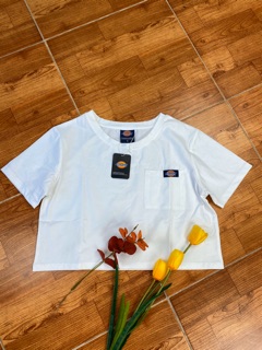 ÁO PHÔNG LỬNG DICKIES