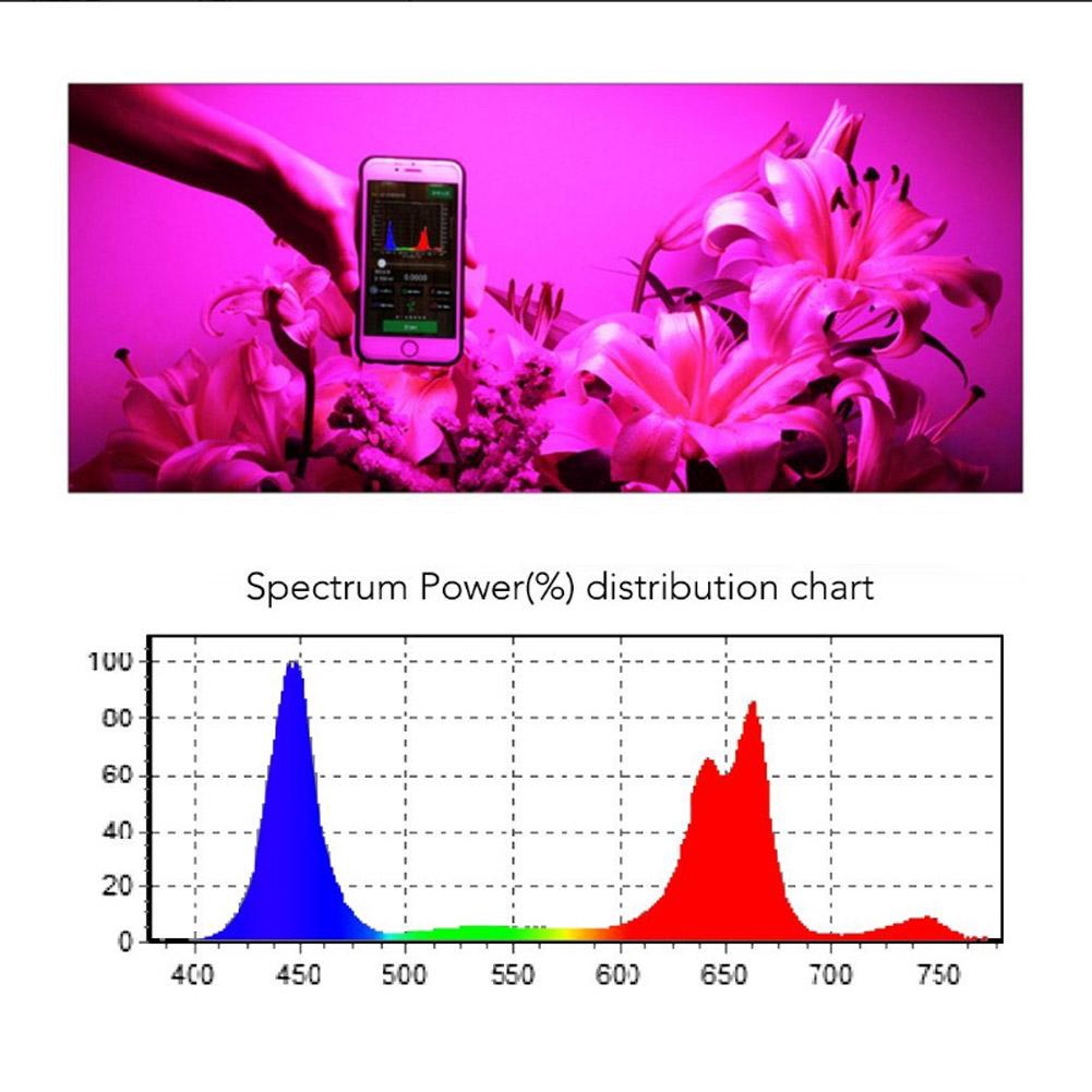 1000W LED Grow Light Quang phổ đầy đủ cho các nhà kính thủy canh trong nhà Veg và Bloom 100W Đèn LED 10W