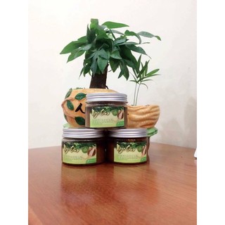 Mặt nạ đông y Ngọc Sâm(MẪU CŨ)