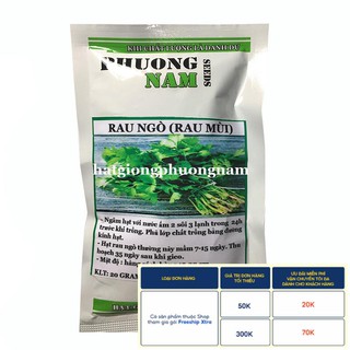 20GR - HẠT GIỐNG RAU NGÒ