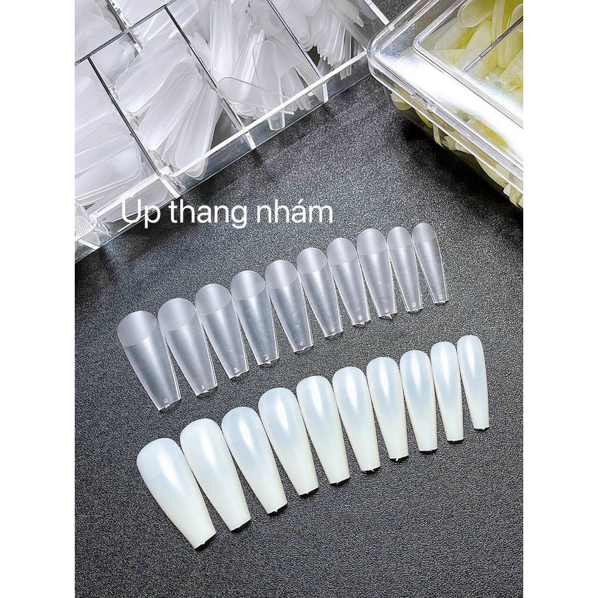 Móng Úp HSM Nhám Hộp 500 Móng