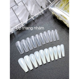 Móng Úp HSM Nhám Hộp 500 Móng