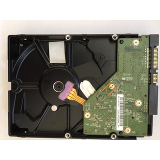 Ổ cứng WD Blue 250Gb