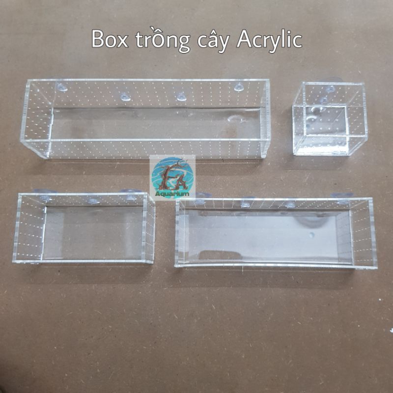 Box/hộp trồng cây Acrylic