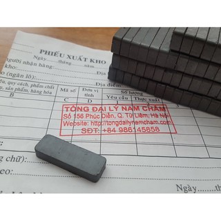 Nam châm Ferrite 30x10x5mm