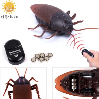Con Gián Đồ Chơi Điều Khiển Từ Xa