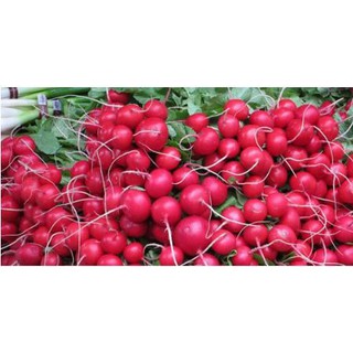 2Gr Hạt Giống Củ Cải Mini Đỏ Kèm quà tặng và hướng dẫn ươm trồng