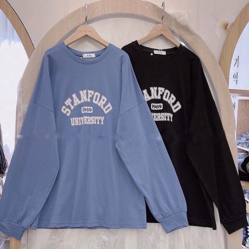 Áo Phông Basic 1951 Nhiều Màu, Áo Sweater Mỏn
