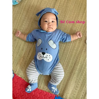 BỘ BODY TAI THỎ