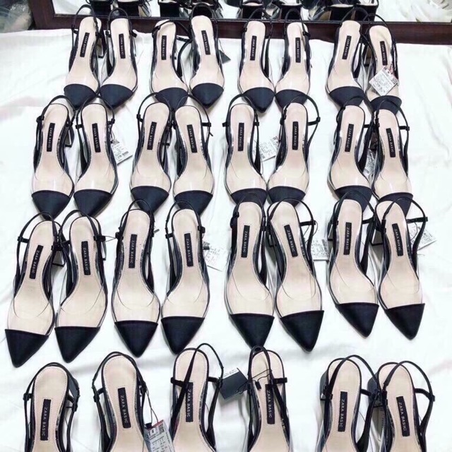 Cao hót Zara Basic