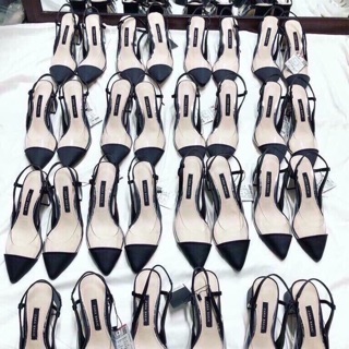 Cao hót Zara Basic