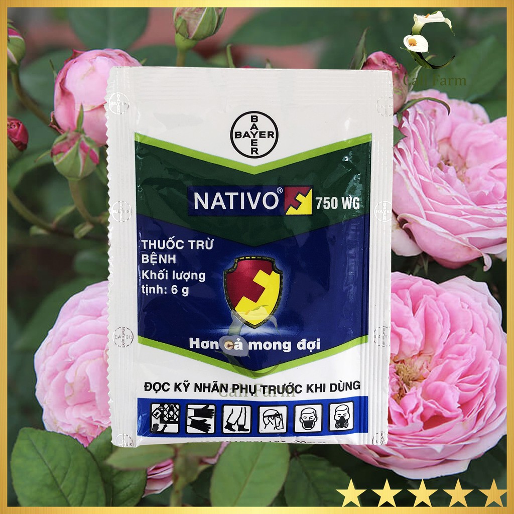 Thuốc trừ bệnh Nativo 750WG 6g cho hoa hồng, cây kiểng