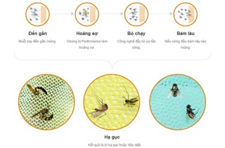 màn chụp chống muỗi có nhạc cho bé