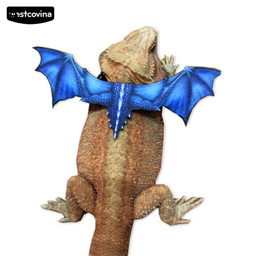 Dây Dắt Thú Cưng Bò Sát Thiết Kế Nhẹ Thoải Mái