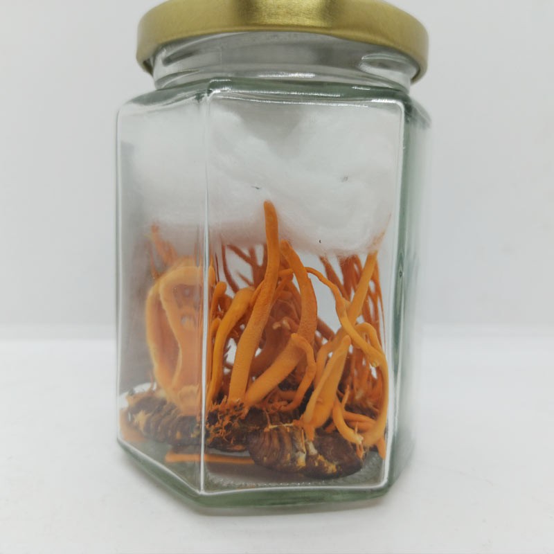 Đông Trùng Hạ Thảo Nguyên Con sấy thăng hoa JD235_nhong | BigBuy360 - bigbuy360.vn