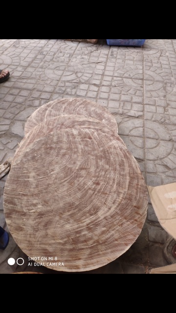Thớt gỗ nghiến tây bắc size 40cm dày 5,5cm